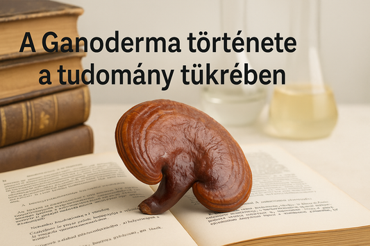 A Ganoderma története a tudomány tükrében