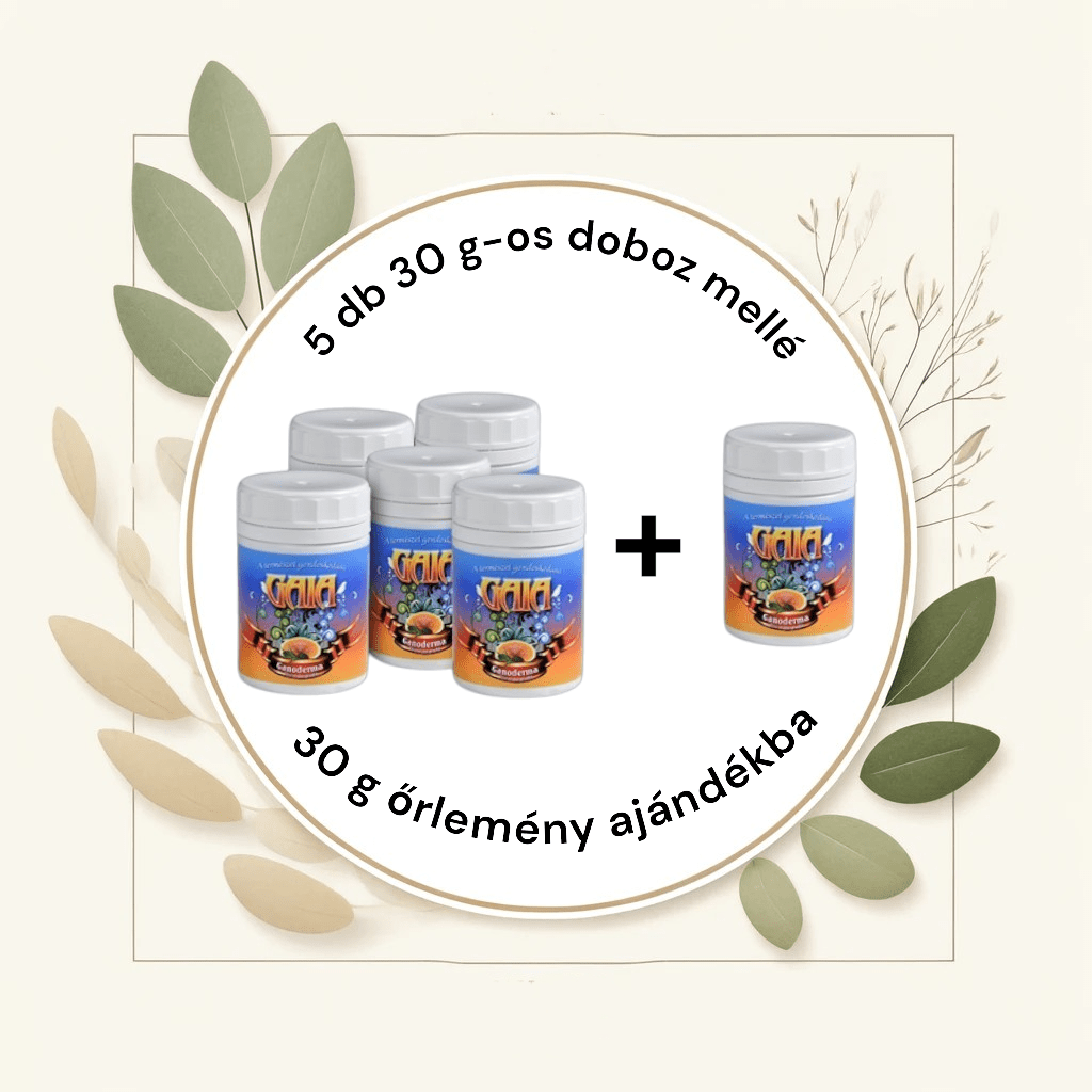 Ganoderma gomba őrlemény 5x30 g + 30g ajándék - Gaia Ganoderma