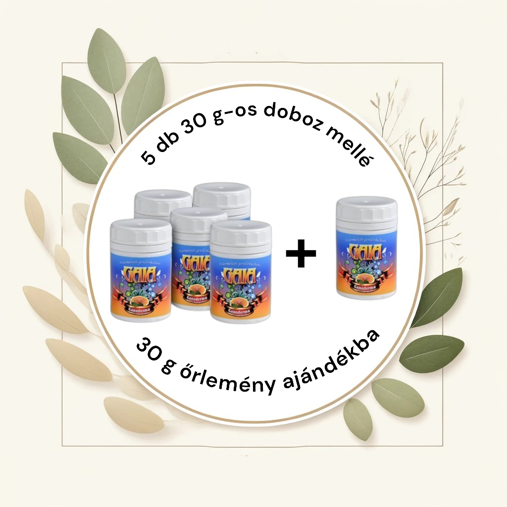 Ganoderma gomba őrlemény 5x30 g + 30g ajándék