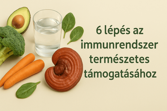 Ganoderma, zöldségek és víz egy kompozícióban – a természetes immunrendszer-támogatás 6 lépését bemutató blogcikk borítóképe.