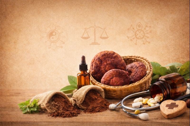 Ganoderma autoimmun betegségek esetén – mikor nem ajánlott? - Gaia Ganoderma