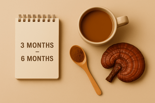 Ganoderma kúra 3–6 hónapra – haladó útmutató - Gaia Ganoderma