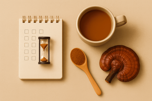 Ganoderma kúra kezdőknek – 30 napos útmutató - Gaia Ganoderma