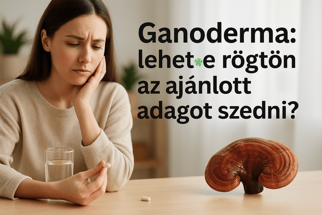 Ganoderma: lehet-e rögtön az ajánlott adagot szedni? - Gaia Ganoderma