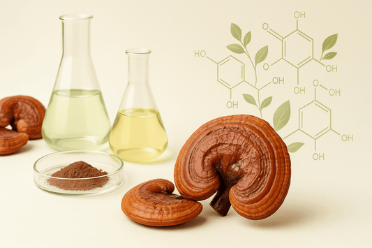 Ganoderma lucidum tudományos hatásmechanizmusa - Gaia Ganoderma