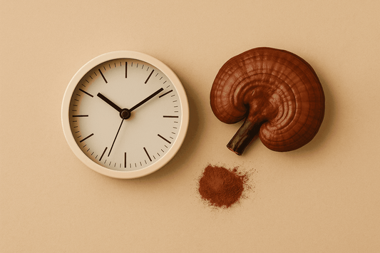 Mennyi idő után hat a Ganoderma?  7–30 napos áttekintés - Gaia Ganoderma