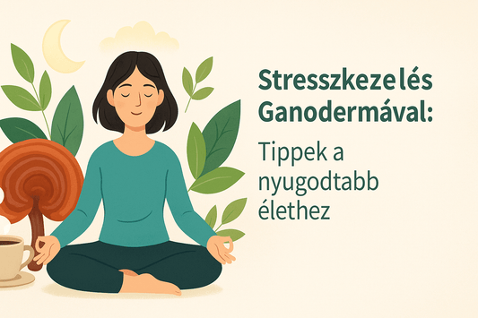 Meditáló nő illusztrációja Ganoderma gombával és teával – stresszkezelés és nyugodt életmód vizuális megjelenítése.