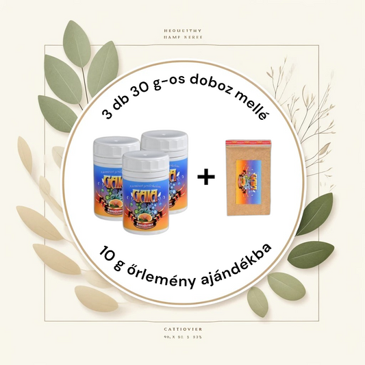 Ganoderma gomba őrlemény 3x30g + 10g ajándék