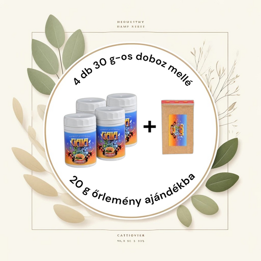 Ganoderma gomba őrlemény 4x30g + 20g ajándék