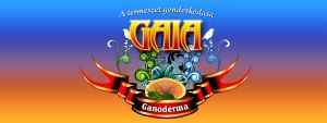 Gaia Ganoderma